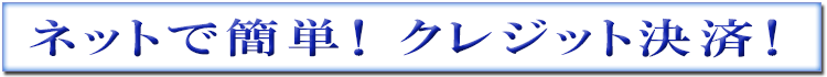 ネットで簡単!クレジット決済!