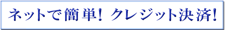 ネットで簡単!クレジット決済!